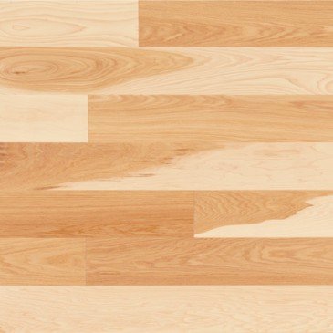 Hickory