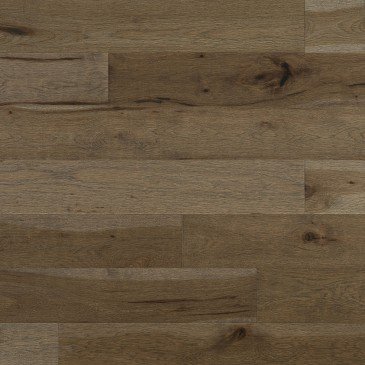 Hickory d’antan Fossil