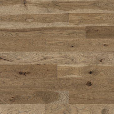 Hickory d’antan Seashell