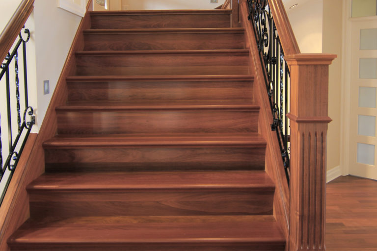 Classique - Saurette