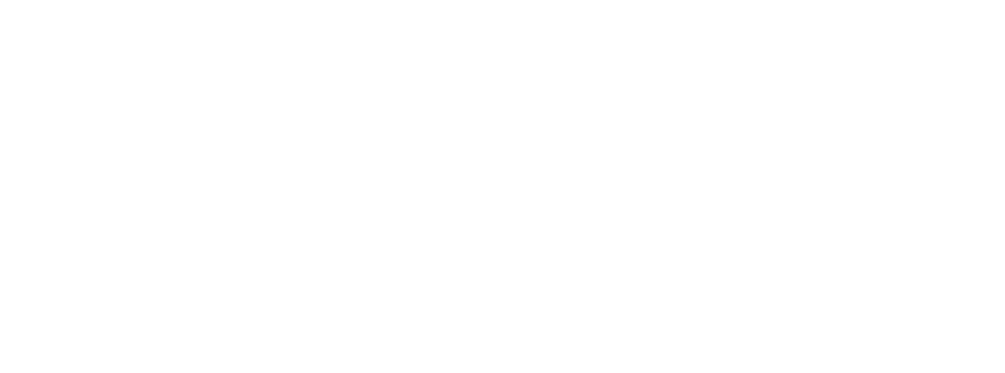 Logo 35 ans